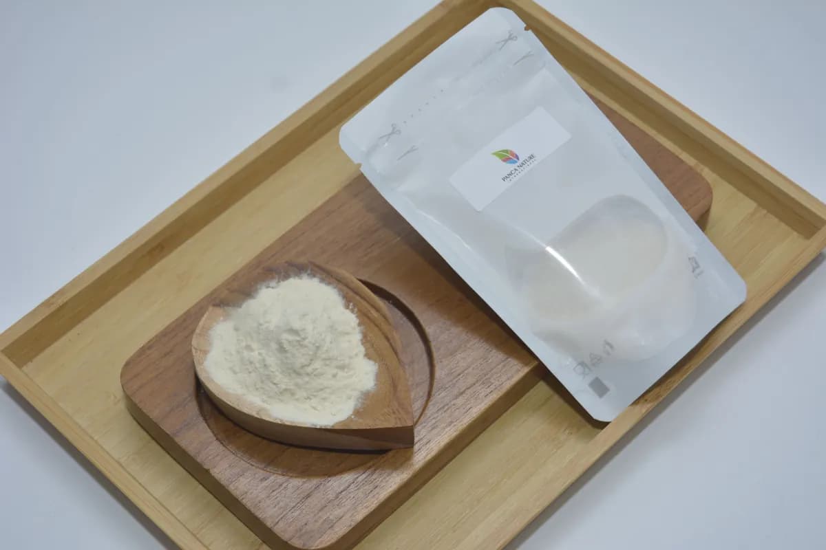 Keladi tikus Powder Extract Sterilized